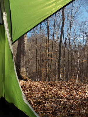 Coleman tent