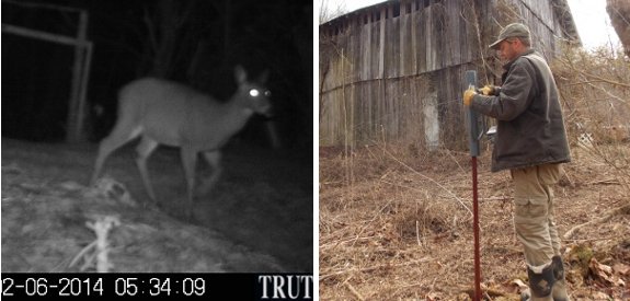 using Truth Cam trail camera to know when a deer is entering our garden