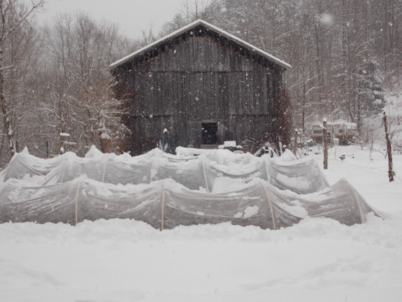 Quick hoops in the snow