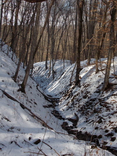 Snow shadows