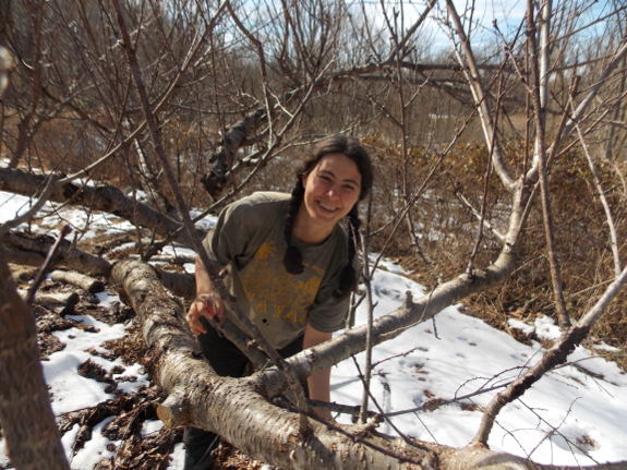 Pruning a peach tree