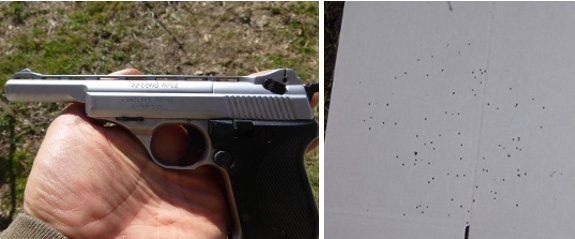 pattern a 22 caliber rat shot bullet leaves behind