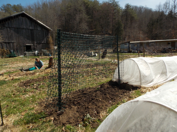 Weeding the spring garden