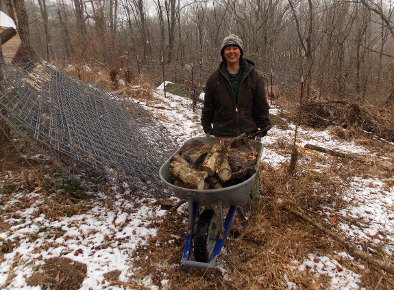 Wheeling firewood