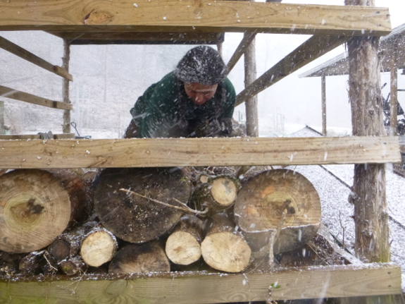 Stacking firewood in the snow