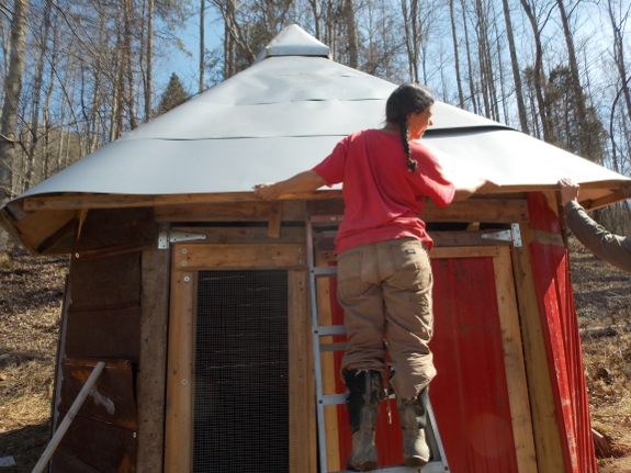 Starplate roof