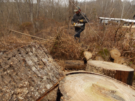 a log too tough to split?