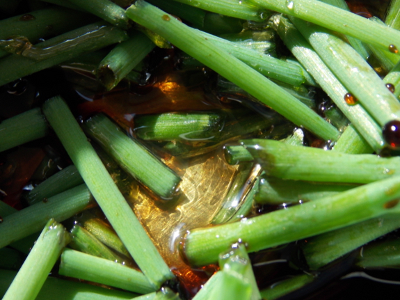 Salad dressing and chives