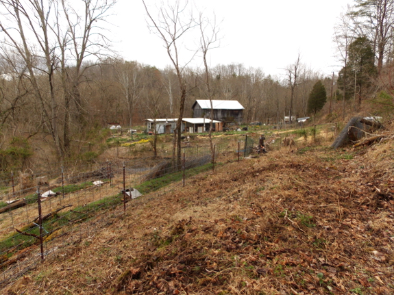 Newly cleared pasture