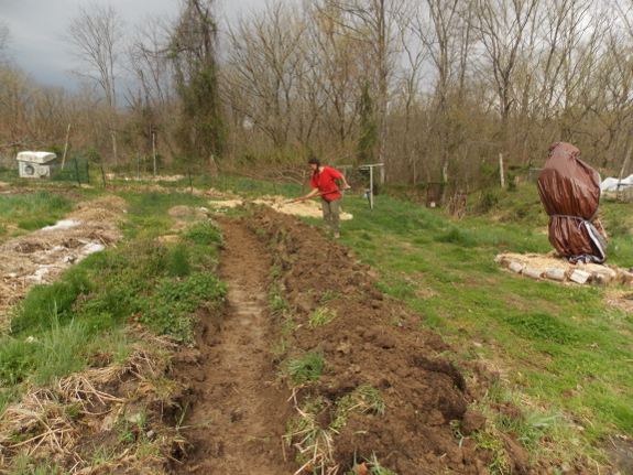 Building a raised bed