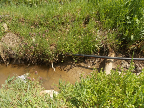 Small-scale chinampas