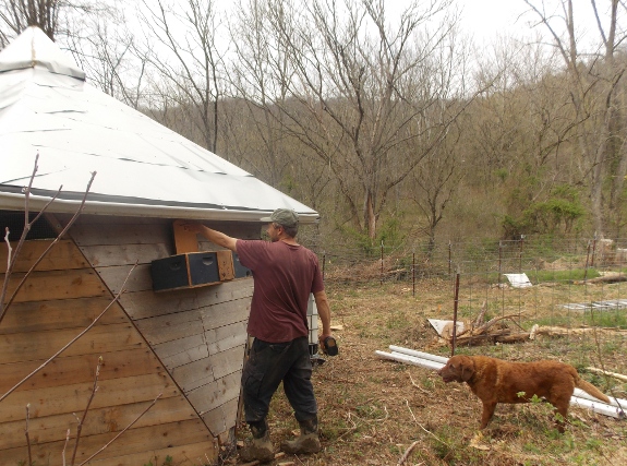 installing swarm trap on back of Star Plate chicken coop