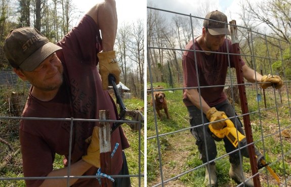 how we cut a cattle panel to shorten it