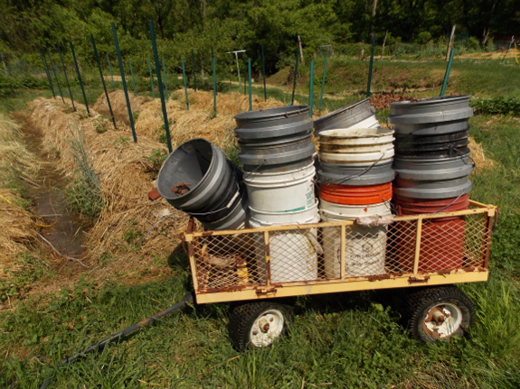 Buckets in the garden