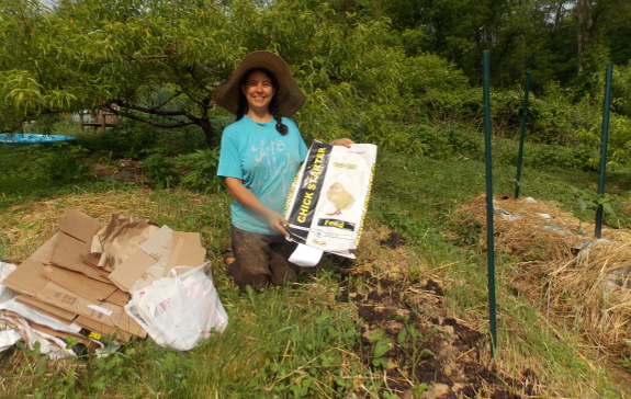 Mulching with feed bags