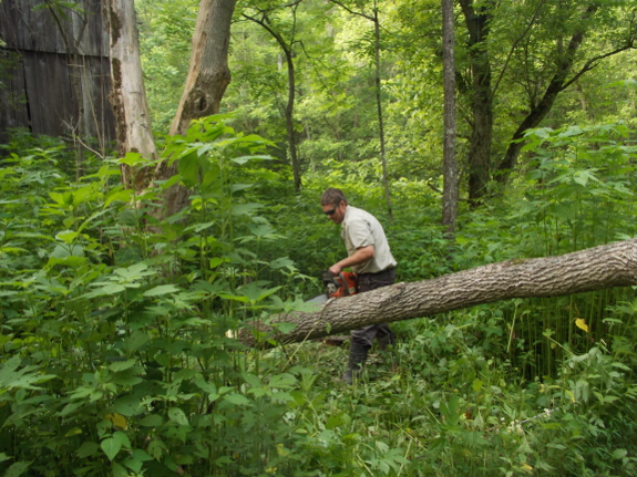 Firewood cutting