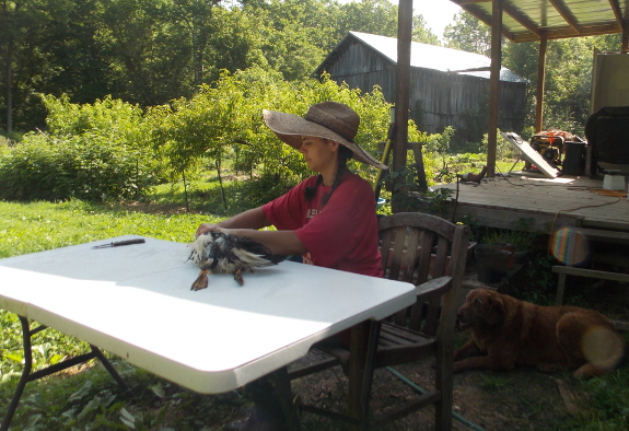 Anna with duck and Lucy in background