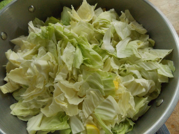 Chopped cabbage