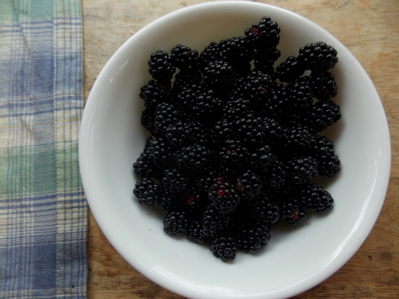 Bowl of blackberries
