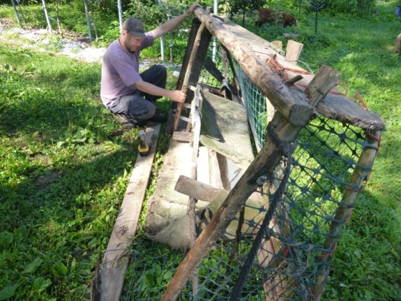 fixing a 4.5 year old chicken tractor
