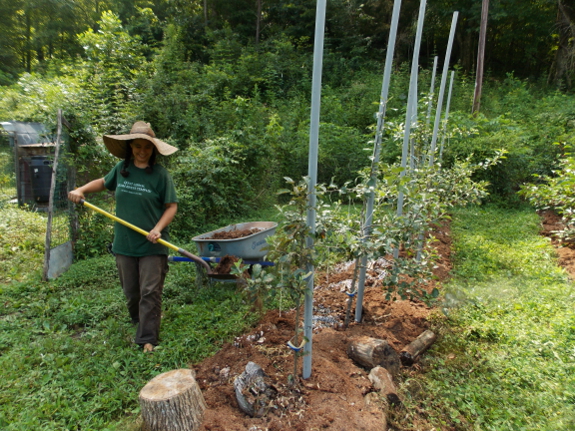 Mulching with humanure
