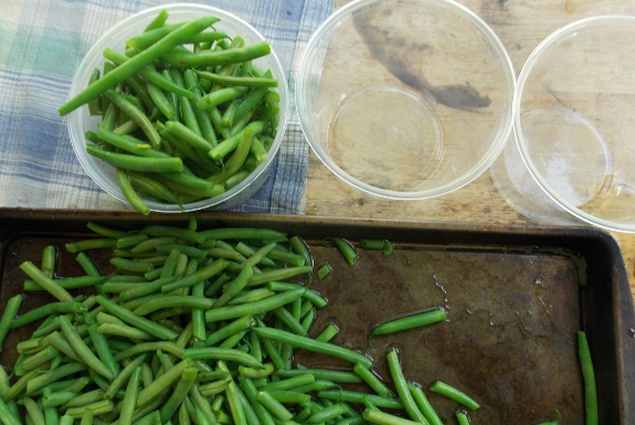 Freezing green beans