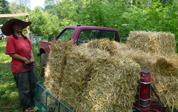 how many bales of straw will fit into a Chevy S-10 truck?