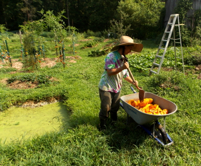 Cutting up squash