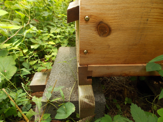 Bottom of a warre hive