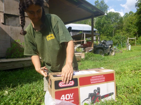 40 volt battery powered chainsaw review