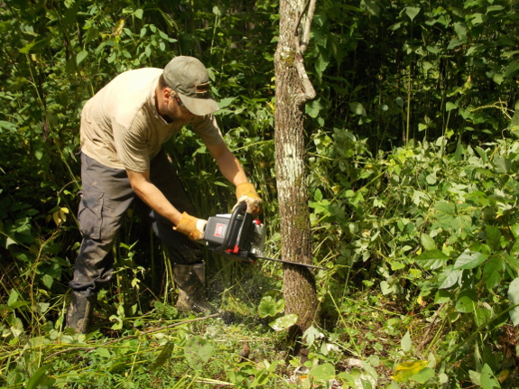 Battery-powered chainsaw