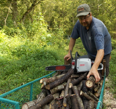 Wheelbarrow of branches