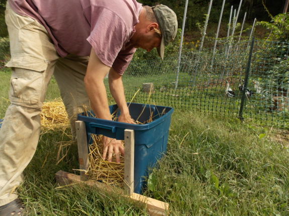 new duck box for nesting