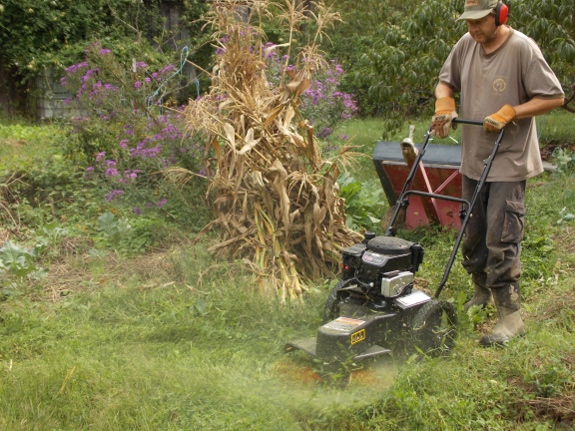 Swisher trimmer mower in action