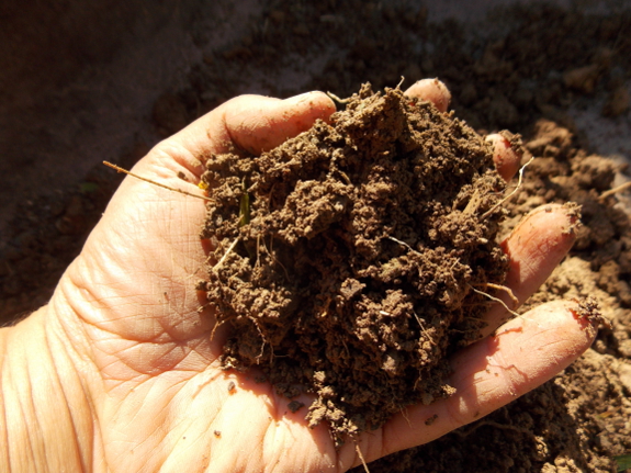 Deficient soil