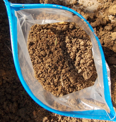 Soil sample