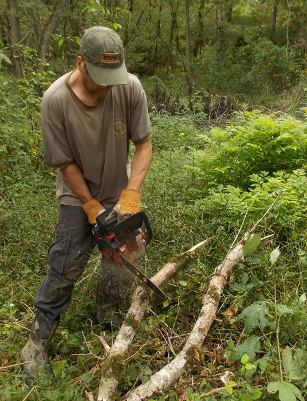 Battery-powered chainsaw