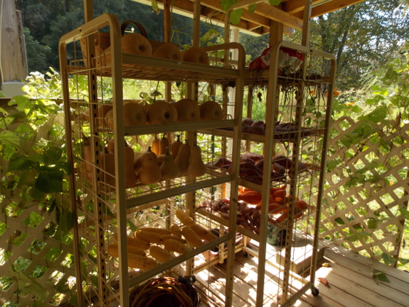 Vegetable curing racks