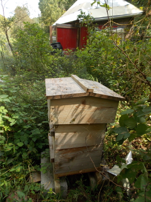 Warre hive