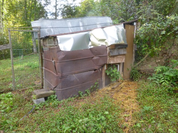 Chicken coop construction mistakes