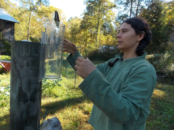 Leveling a rain gauge