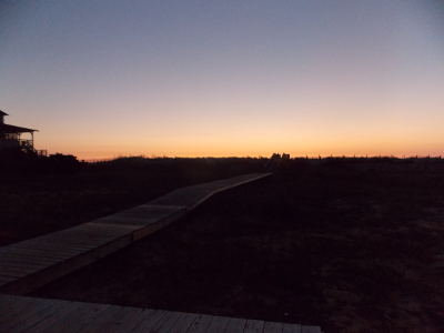 Boardwalk across the dunes