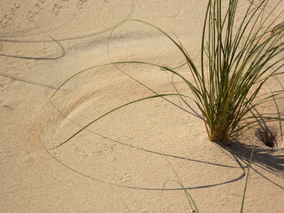 Sand circles