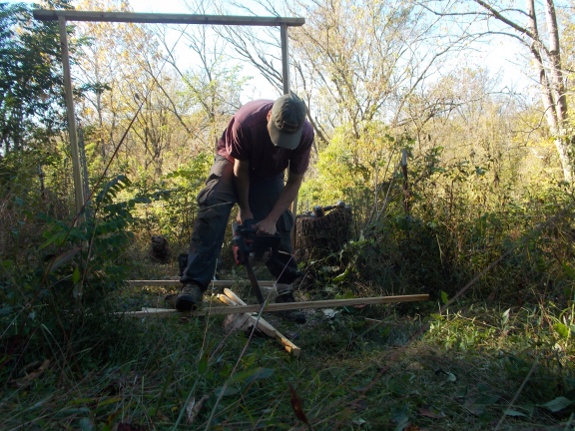 building goat gate frame with battery powered chainsaw