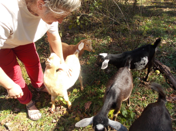 Four-month-old kids