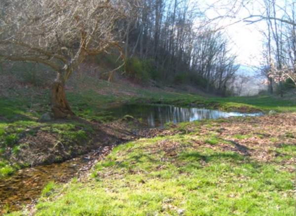 Livestock pond