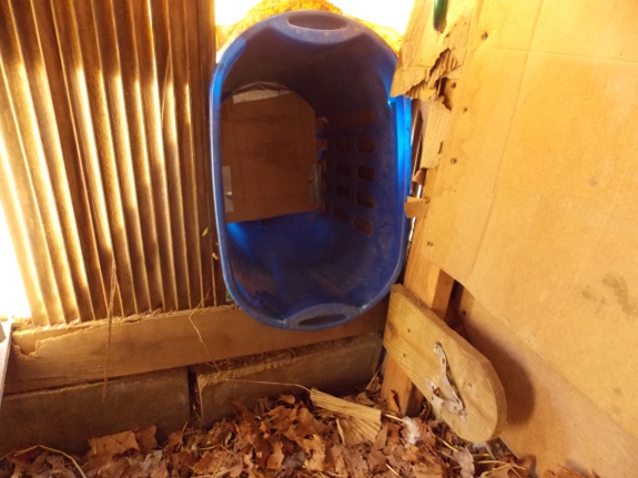 using a laundry basket for a roll out nest box