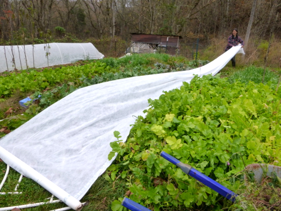 Measuring row cover fabric