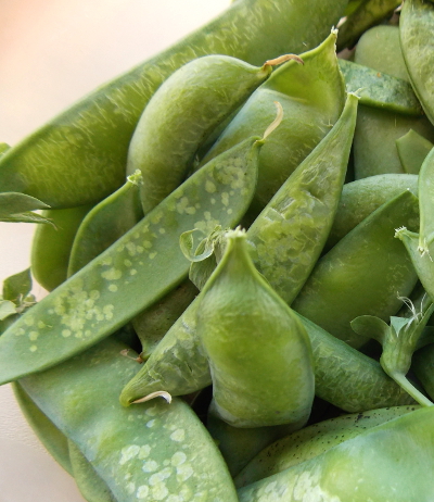 Frost-damaged peas