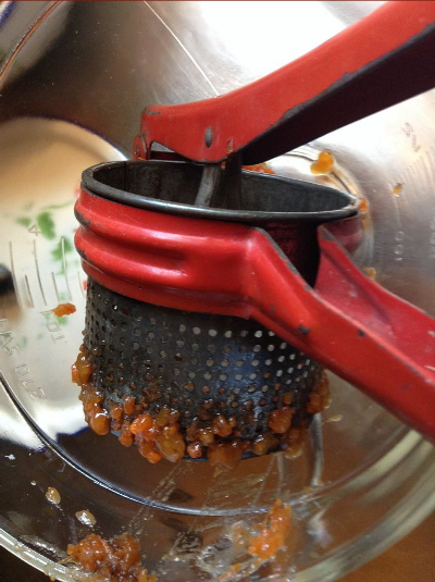 Extracting persimmon pulp